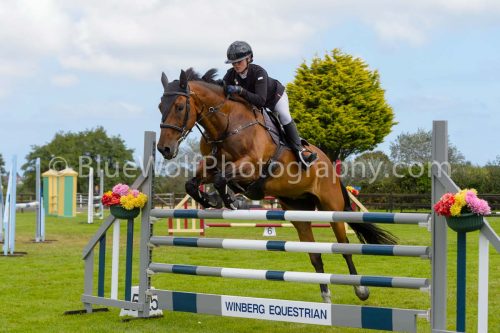 HOYS25-201